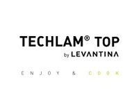 Techlam Top Logo
