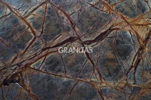 Granitas Products Marble Rain Forest Brown Gtt 